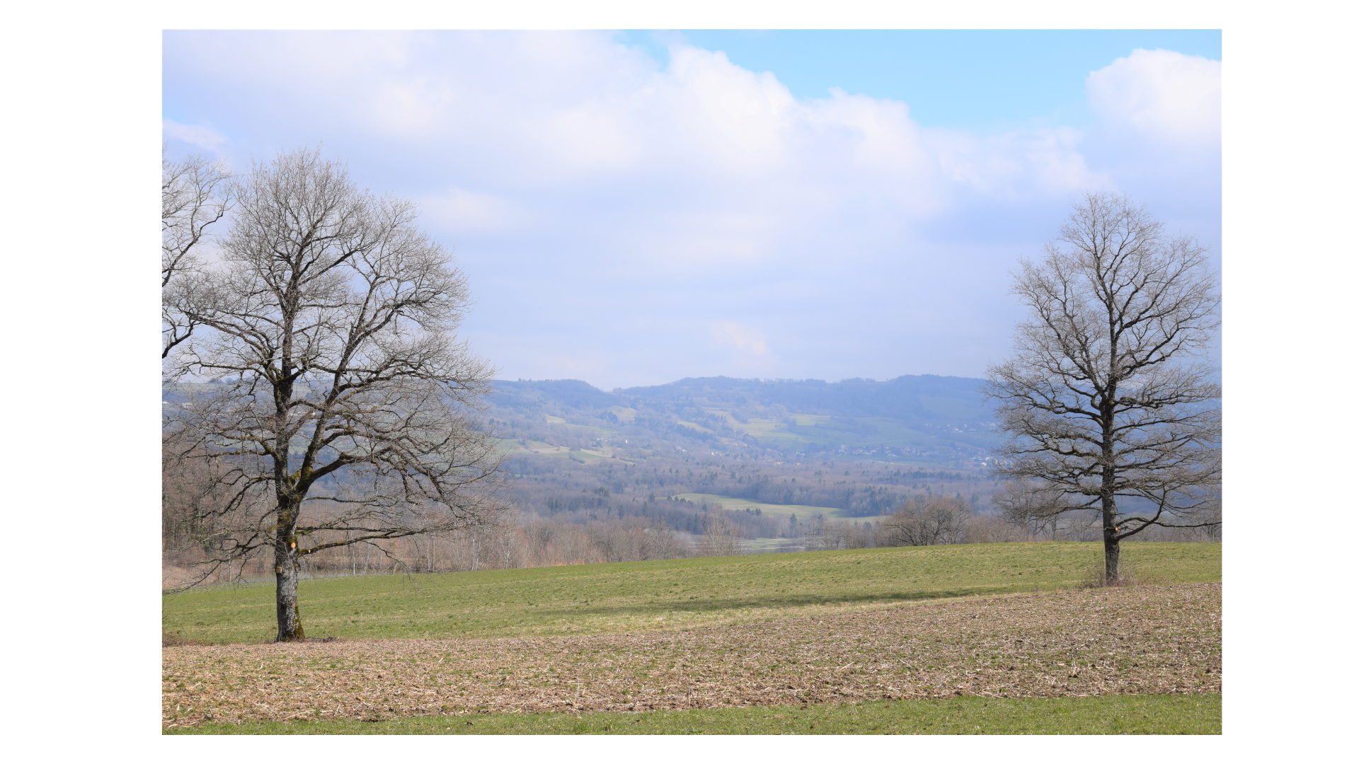 image de présentation